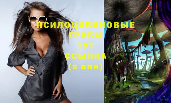 хмурый Каменногорск