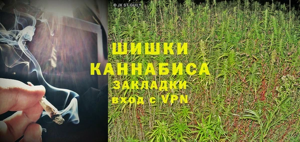 хмурый Каменногорск