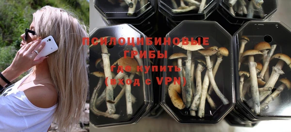эйфоретик Касимов