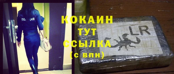 хмурый Каменногорск